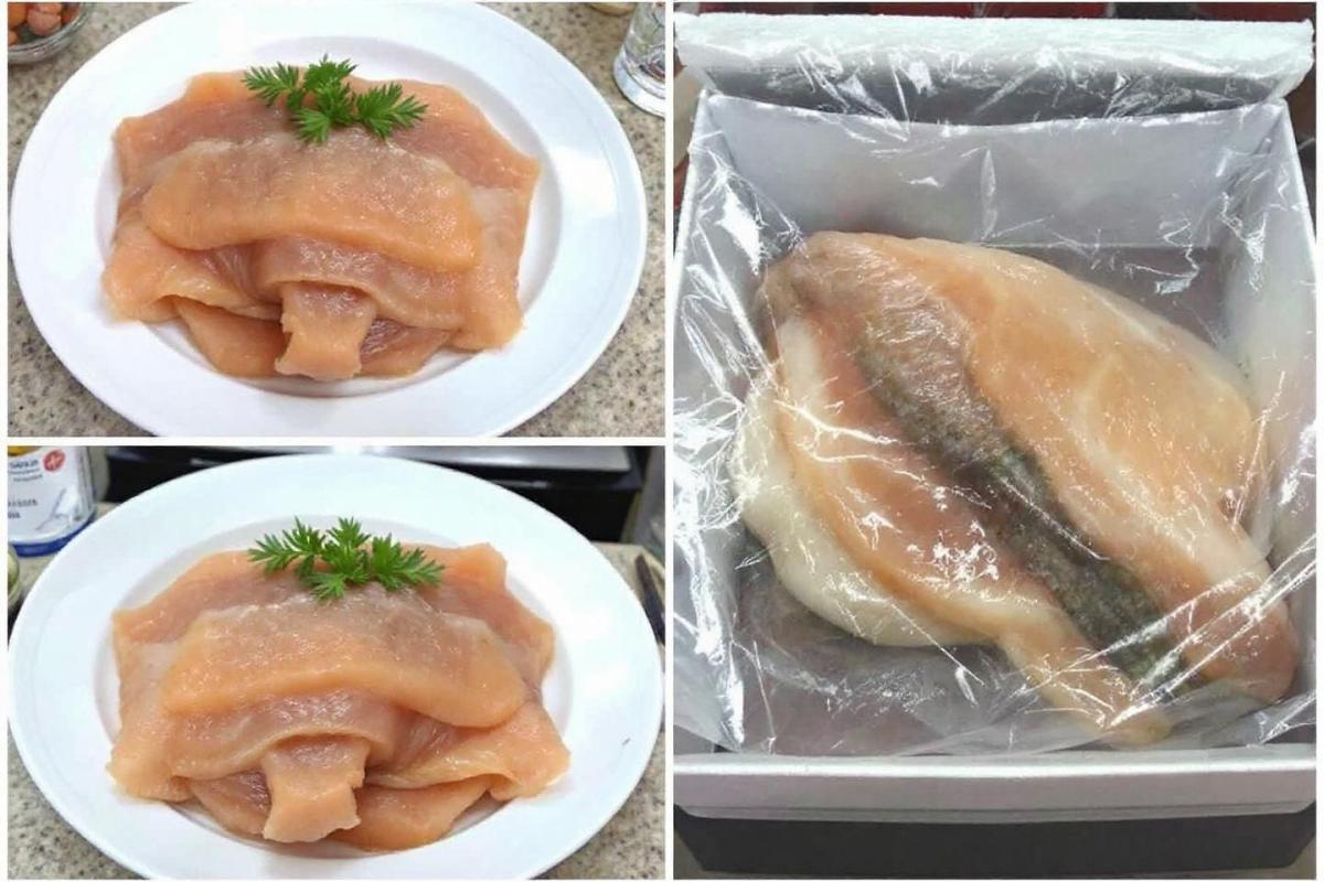 Rappel consommateur : poisson-chat vidé congelé Prodimar - Procédure et informations importantes