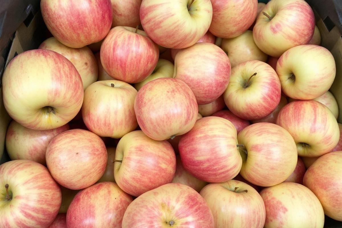 Rappel consommateur : pommes duchesse Carrefour Extra présentant un défaut de qualité