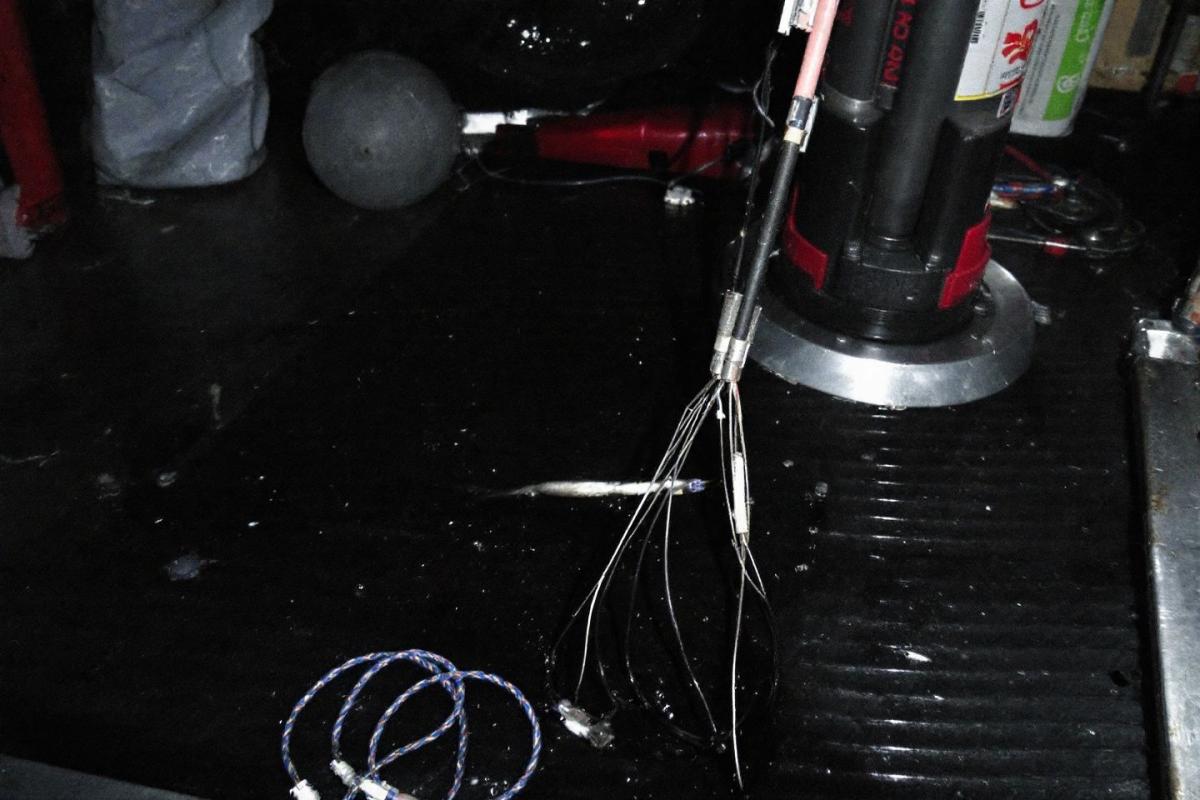 Rappel consommateur urgent : barracuda fumé dangereux de toutes marques retirés des magasins