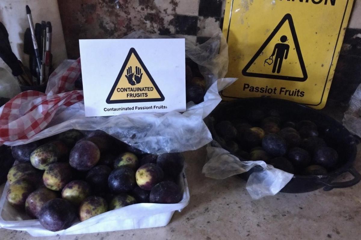 Rappel urgent : fruits de maracuja péruvien Noval potentiellement contaminés